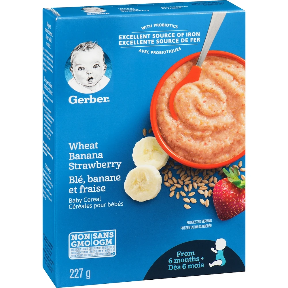 Céréales pour bébés Étape 2 Blé avec banane et fraise