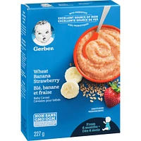 Céréales pour bébés Étape 2 Blé avec banane et fraise