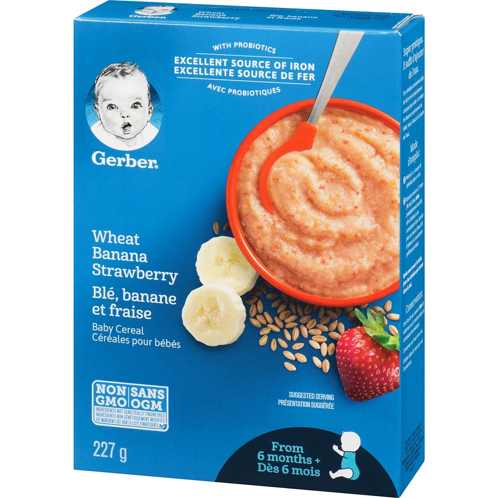 Céréales pour bébés Étape 2 Blé avec banane et fraise