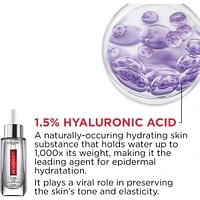 Hyaluronic Acid Serum and Day Moisturizer Kit