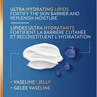 Repairing Moisture Fast Absorbing Lotion