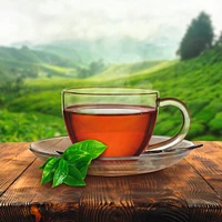 Tea Bags Orange Pekoe