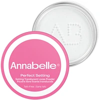 Perfect Setting Talc-Free Translucent Loose Powder