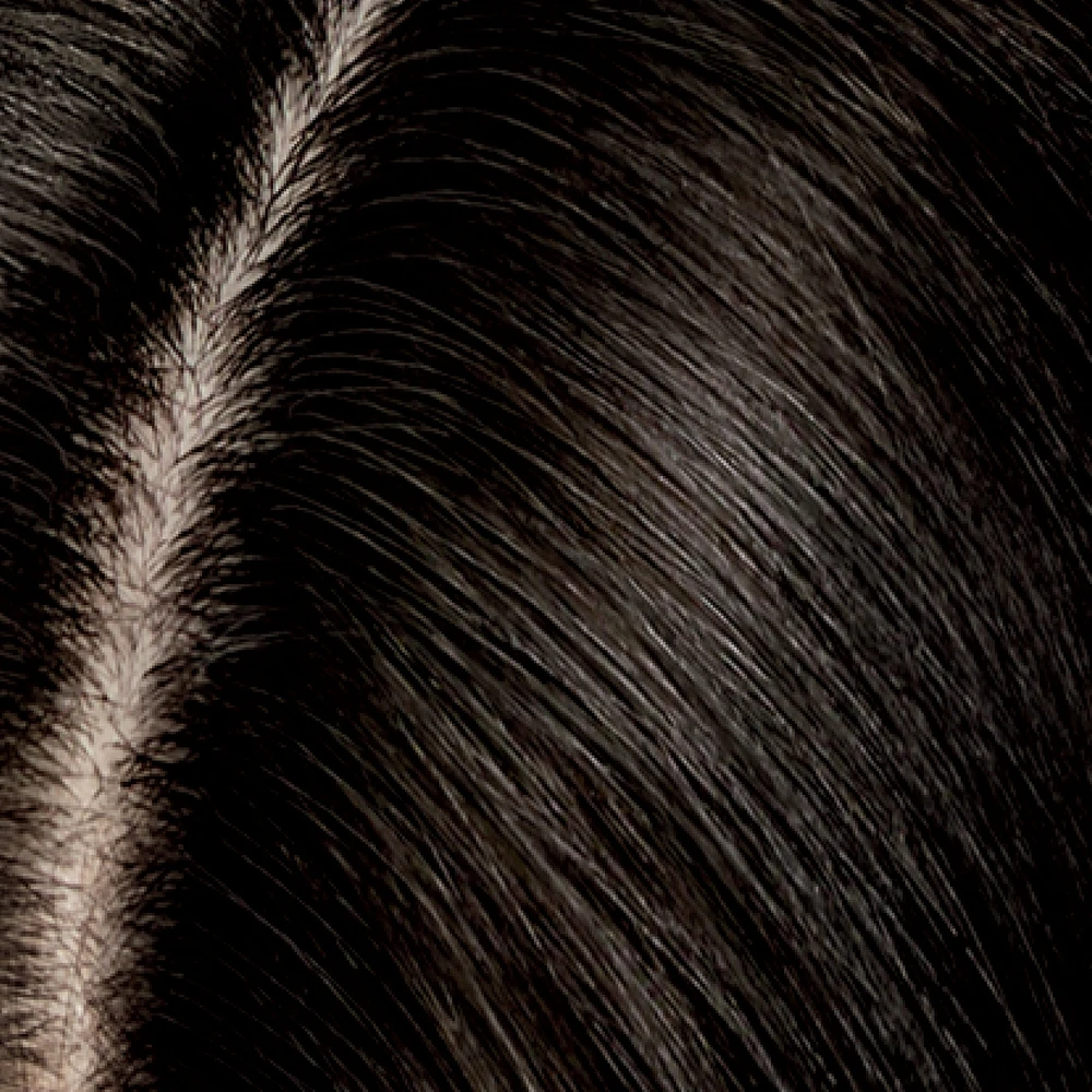Root Touch-Up Temporary Powder