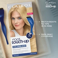 Root Touch-Up Permanent Color, Covers Gray, Instant Natural Looking Color