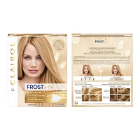 Frost & Tip Original Hair Highlighting Kit