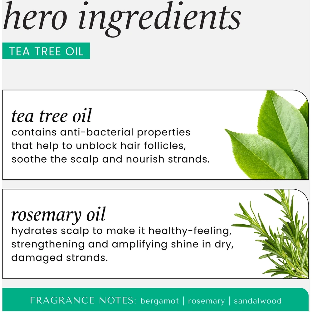 Tea Tree Oil & Rosemary Invigorating Shampoo