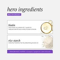 Chia Seed Volumizing  Dry Shampoo