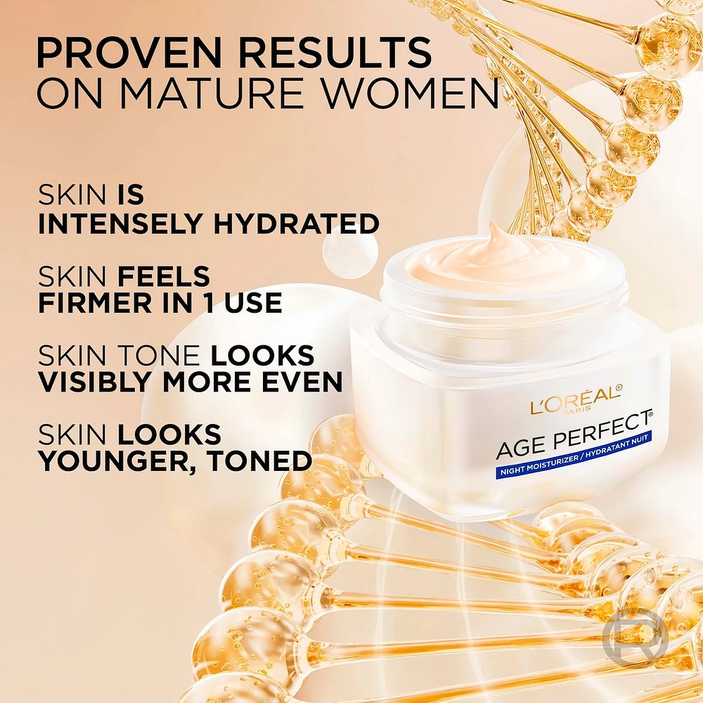 Night Moisturizer Collagen and Niacinamide