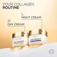 Night Moisturizer Collagen and Niacinamide