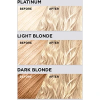 Colorista Hair Bleach Hair Color