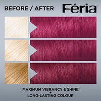 High Intensity Multi-Faceted Shimmering Permanent Hair Color, 3X Highlights, Gentle , Deep Conditioning Hair Dye