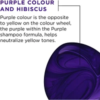 EverPure Brass Toning Purple Shampoo