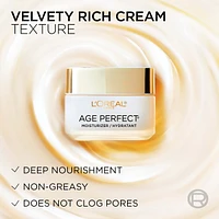 Night Moisturizer Collagen and Niacinamide