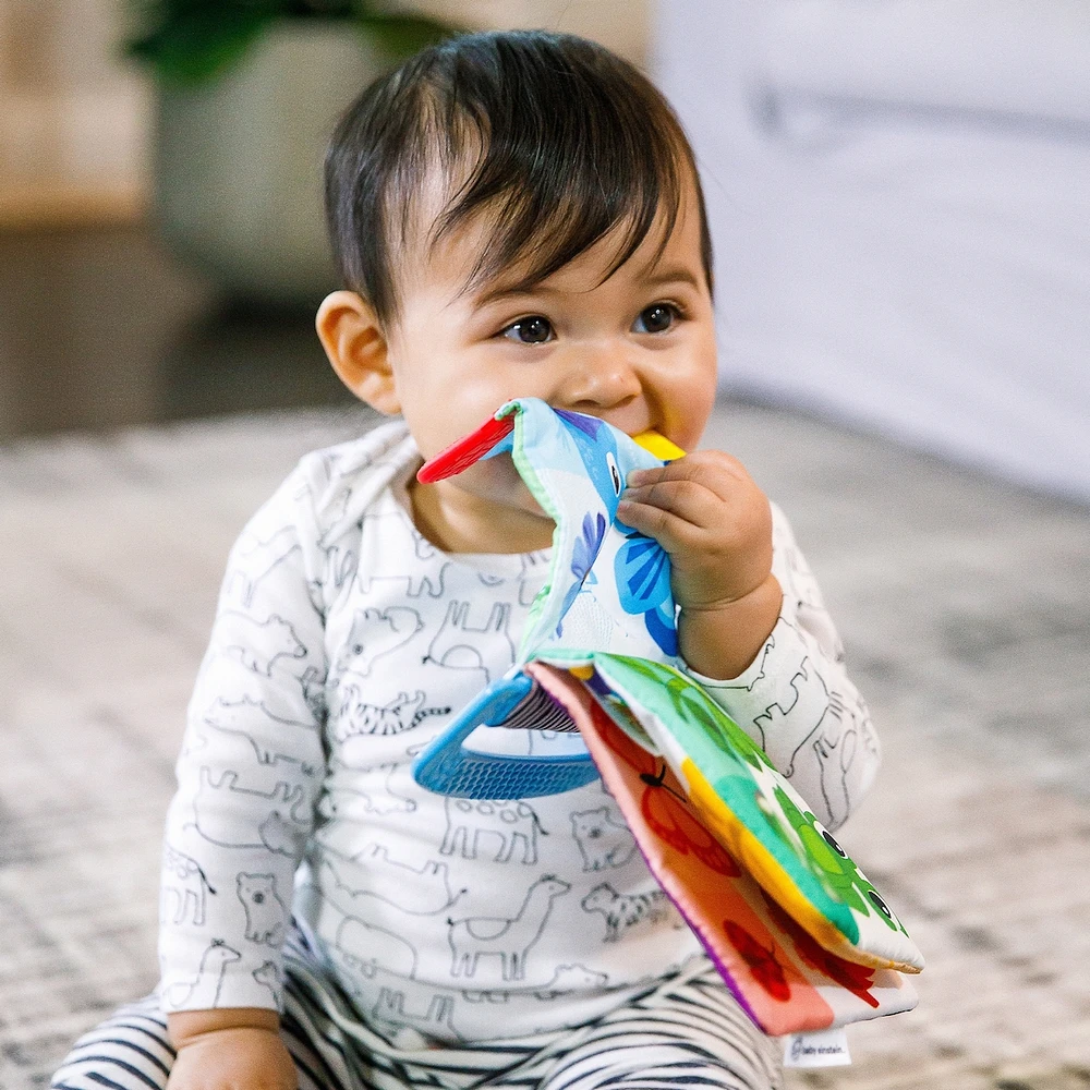 Curious Explorers Teether Book™