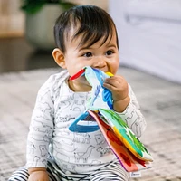 Curious Explorers Teether Book™