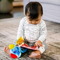 Curious Explorers Teether Book™