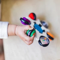 Baby Einstein - Curiosity Clutch