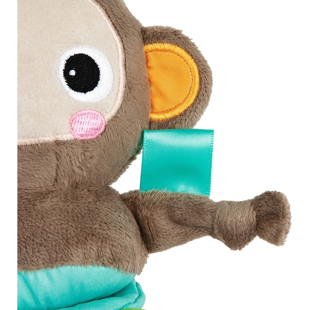 Bright Starts -Pull Play Boogie Musical Activity Toy Monkey