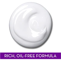 Age Defying Classic Night Cream, Face Moisturizer