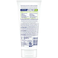 Fresh Skin Apricot  Scrub  170 g