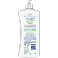 Cranberry Seed + Grape Seed Oil Body Lotion