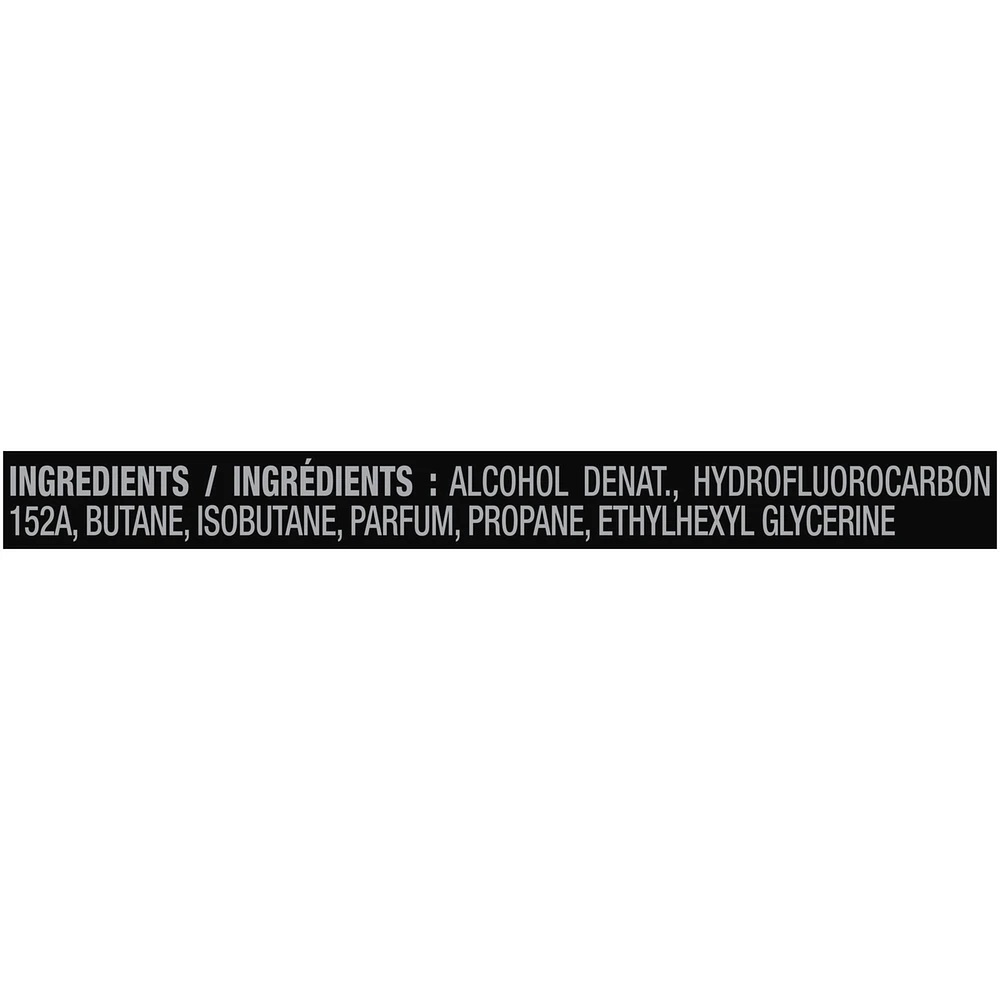 AXE  Deodorant Body Spray  Anarchy  113 g