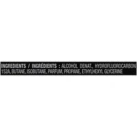 AXE  Deodorant Body Spray  Anarchy  113 g