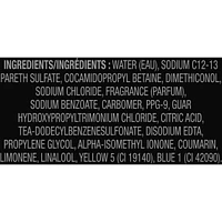 Shampoo/Conditioner Black 473 ML