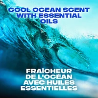 Désodorisant en bâton protection longue durée contre les odeurs avec 48 h de parfum léger et frais AXE  Cool Ocean formulé sans aluminium 85 g