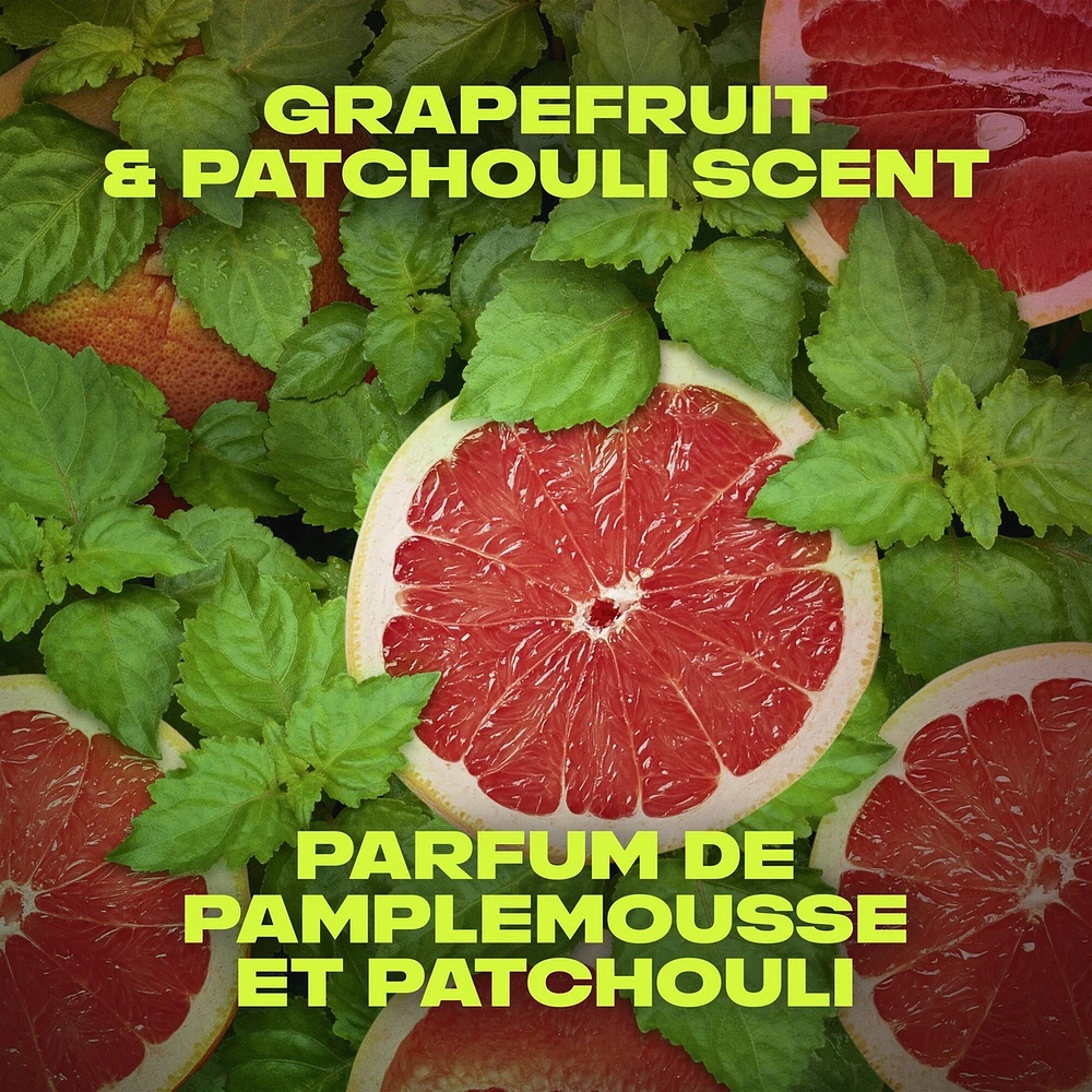 Désodorisant en Bâton pour une protection longue durée contre les odeurs AXE Infinite Pamplemousse et Patchouli formulé sans aluminium