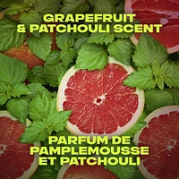Désodorisant en Bâton pour une protection longue durée contre les odeurs AXE Infinite Pamplemousse et Patchouli formulé sans aluminium