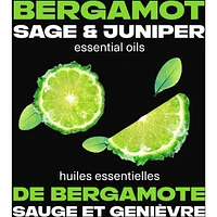 Fine Fragrance Collection Premium Body Spray for Men Aqua Bergamot deodorant with 72H odour protection and freshness infused with juniper, bergamot, and sage essential oils
