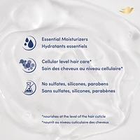 Hair Therapy Endless Waves for Wavy Hair Shampoo Moisturizing Shampoo Made With Raw Shea Butter for Up To 72H Definition
