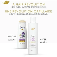 Shampooing pour Cheveux Fins et Plats, Dove Lavande & Volume  avec Soin Bio-Protéine Liquide, 355 ML