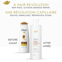 Dove Anti-Frizz & Smooth Shampoo for Frizz-Prone Hair  with Liquid Bio-Protein Care 355 ML