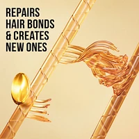 Daily Moisture Renewal 2-in-1 Shampoo & Conditioner