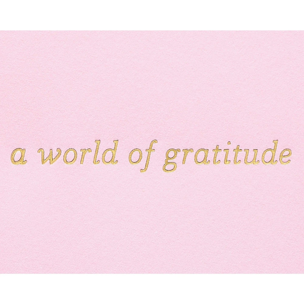 Papyrus Thank You Card (A World of Gratitude)