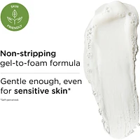 White Tea Skin Solutions Gentle Purifying Cleanser