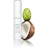 Pureness Soothing Light Moisturizer