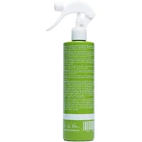 Hair Four Days Leave-in Spray Curl Refresh