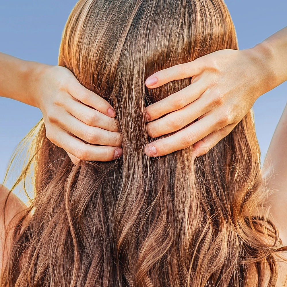 Rose Hips Smooth Conditioner