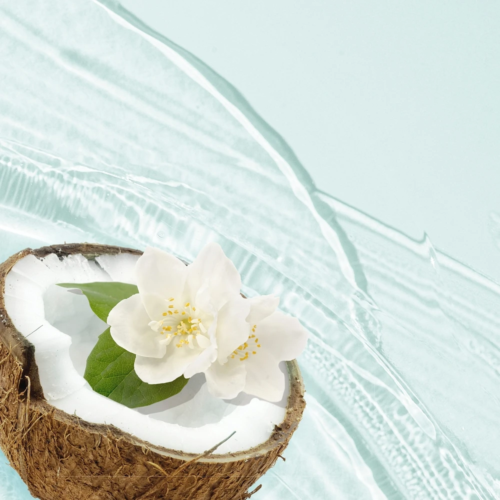 Classics Hydrate Coconut Water & Jasmine Shampoo