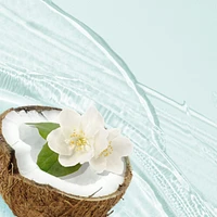 Classics Hydrate Coconut Water & Jasmine Shampoo