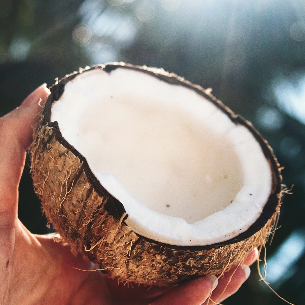 Classics Hydrate Coconut Water & Jasmine Conditioner