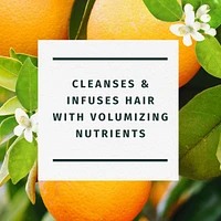 Orange Blossom Volume Shampoo