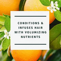 Orange Blossom pH-Balanced & Colour-Safe Volume Conditioner