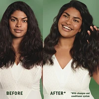 Herbal Essences Hemp Oil Sulfate Free Shampoo, Frizz Control, 400 mL, with Certified Camellia Oil and Aloe Vera, For All Hair Types, Especially Frizzy Hair