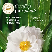 Lightweight Hair Oil, Certified Pure Plants, with Aloe and Camellia Flower Oil