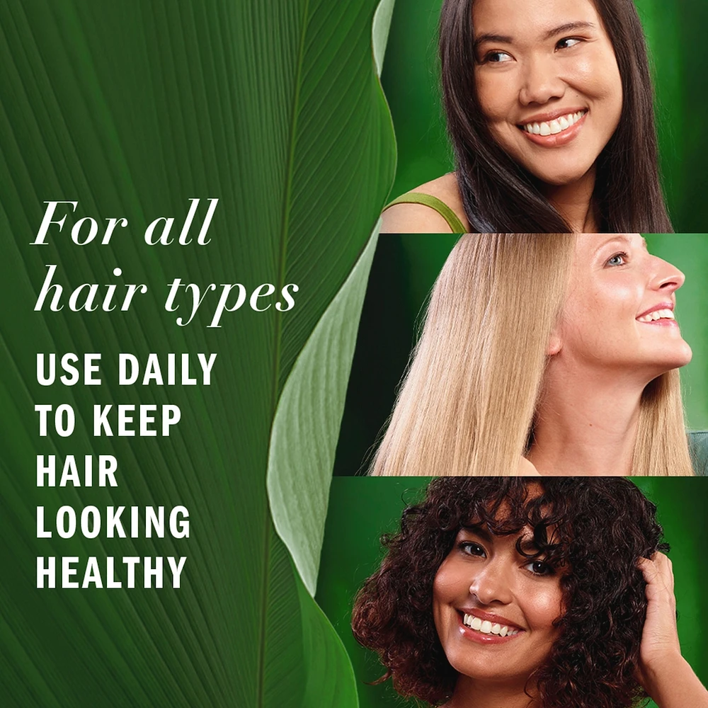 Lightweight Hair Oil, Certified Pure Plants, with Aloe and Camellia Flower Oil